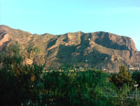 View From Back of House
